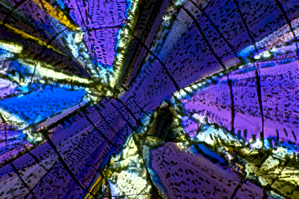 Benzil under the microscope