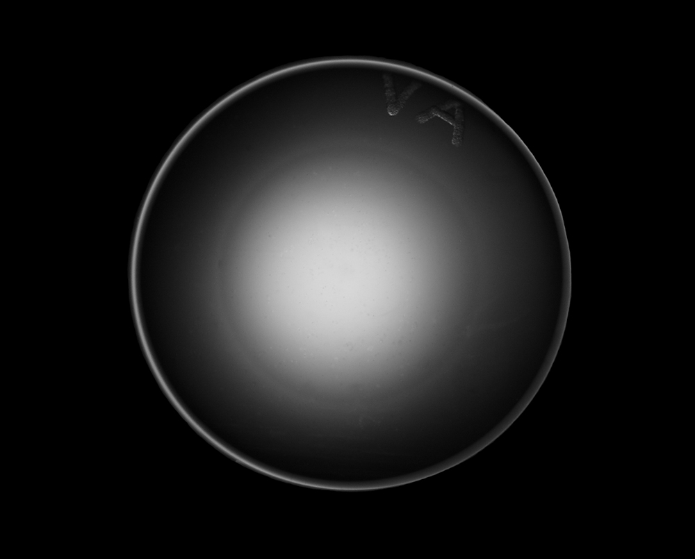 Picture of a contact lens taken under a macro lens