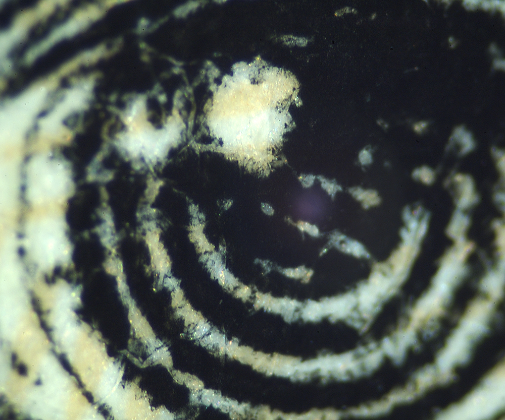 Microscopic image of Thomas Jefferson eye from the $20 