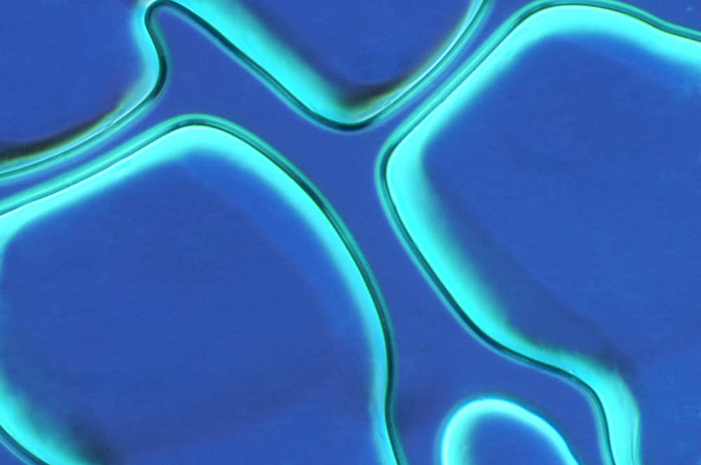 Microscopic image of glue using lightning technique of polarized light