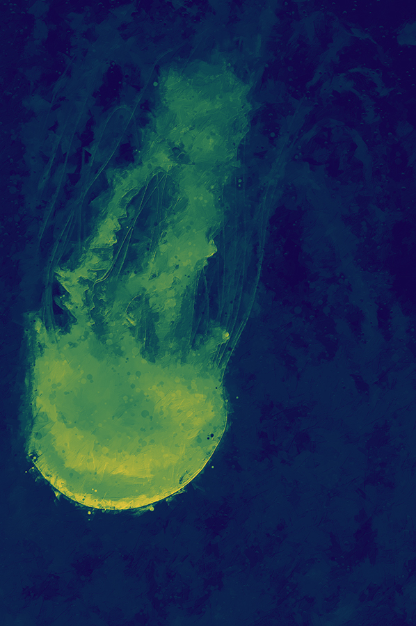 Photo illustration of a jellyfish