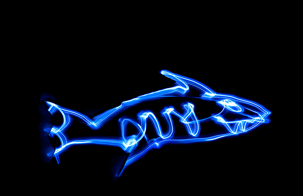 A picture of a shark made out of light