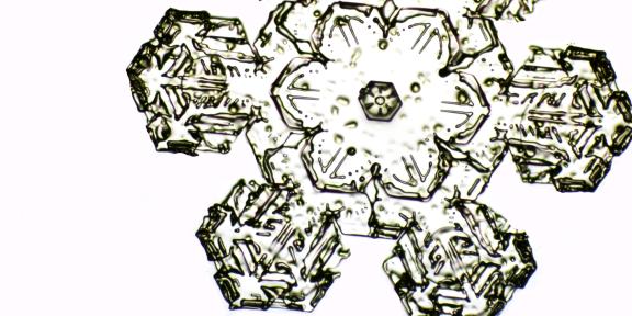 A snowflske picture taken under the microscope